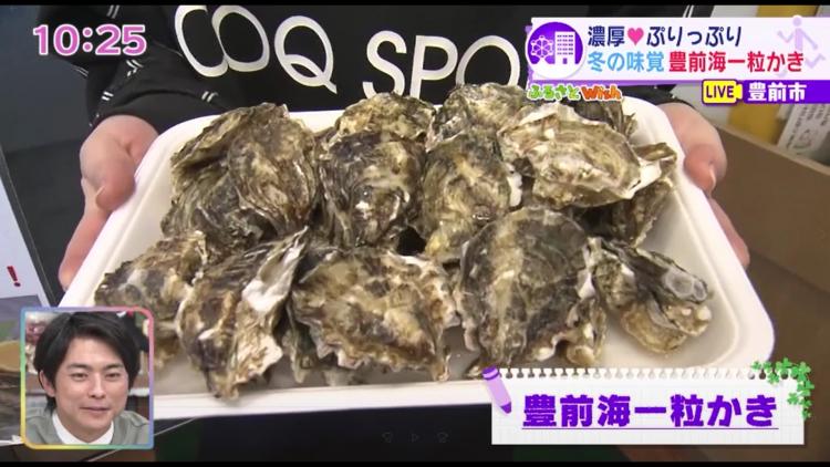 糸島だけじゃない！旬真っ盛りの「豊前海一粒かき」　道の駅で販売～ふるさとWish豊前市～