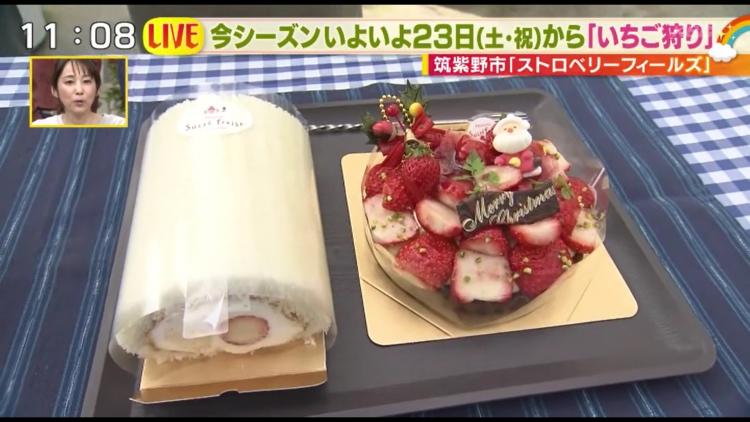 スポンジにもこだわった「いちごのロールケーキ」と季節限定のクリスマスケーキ