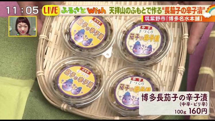 ピリ辛がクセになる！ナスから育てるナスの辛子漬～ふるさとWish筑紫野市～