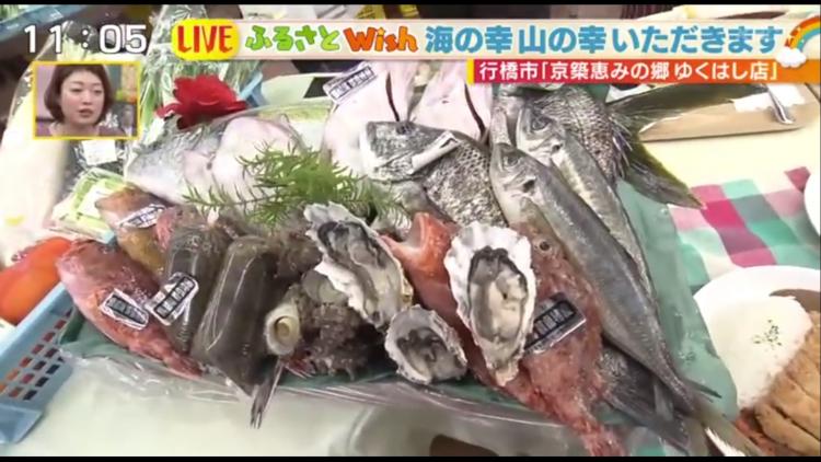 地元の恵みが大集合！鮮魚のお寿司にイチジクカレー！？～ふるさとWish行橋市～