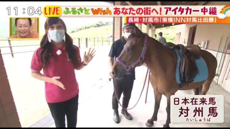 東横イン対馬比田勝でも飼育している