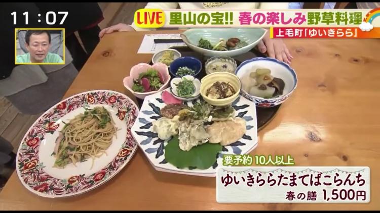 “足元の宝”野草を使った春を感じるランチ♪～ふるさとWish上毛町～