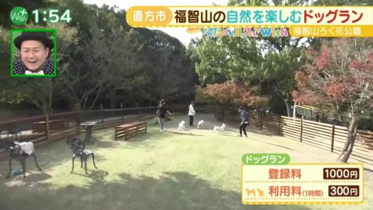 「福智山ろく花公園」にあるドッグラン