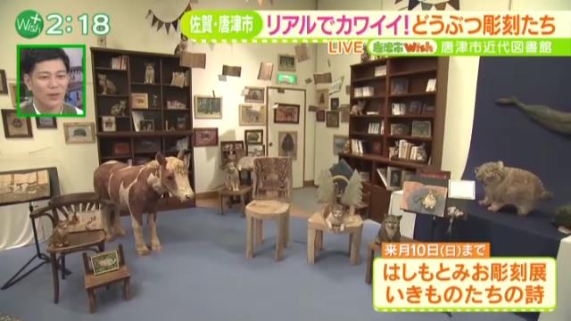 ホール内にある「動物の図書館コーナー」