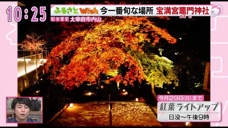 紅葉と「鬼滅の刃」に燃ゆる竈門神社　ライトアップは29日まで～ふるさとWish太宰府市～