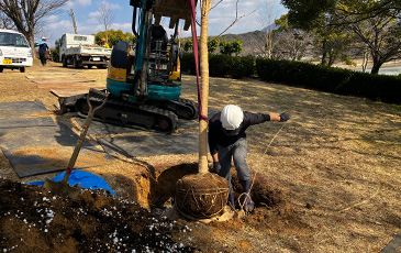 駕与丁公園での植樹の様子